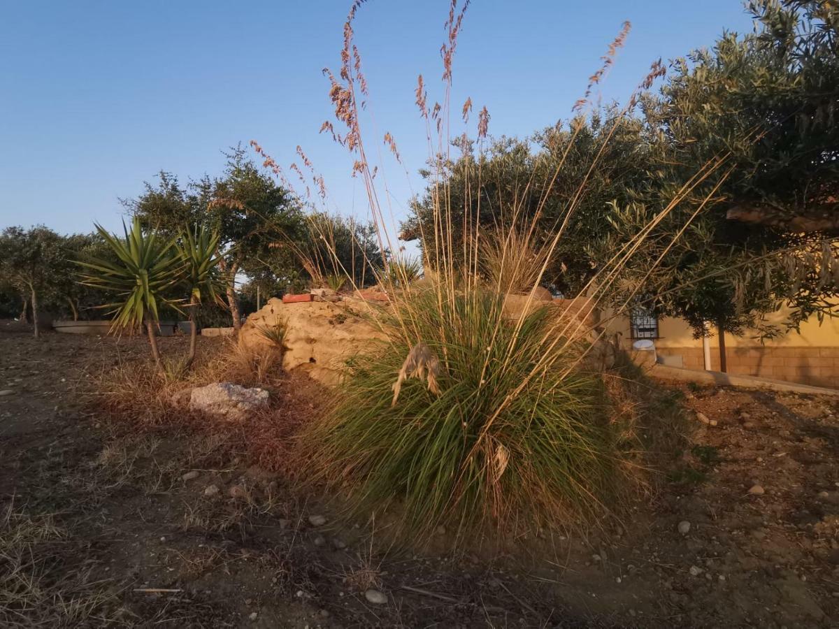Sole Terra E Mare Casa Chiara Villa Montallegro Bagian luar foto